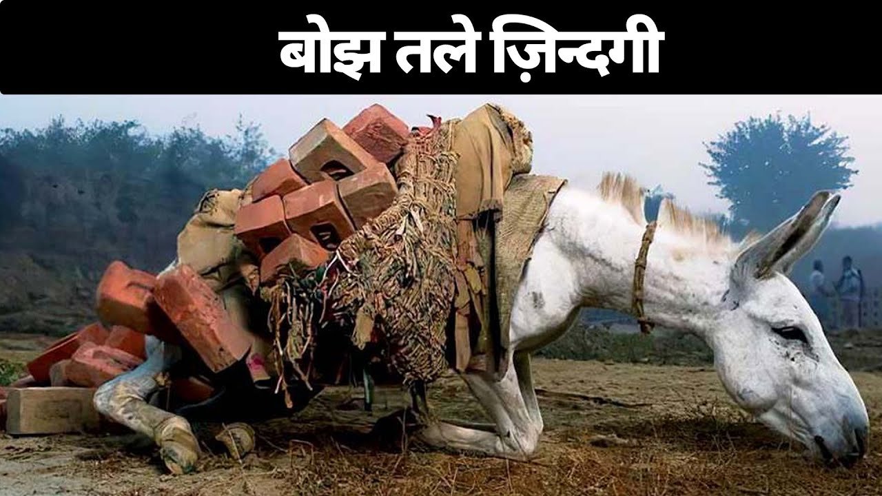 When Will the Horses Run Free?