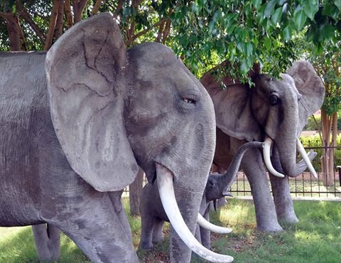 Surrender and Compassion for Elephants
