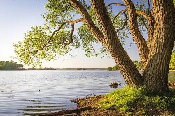 Lakeside and Riverside Plantations